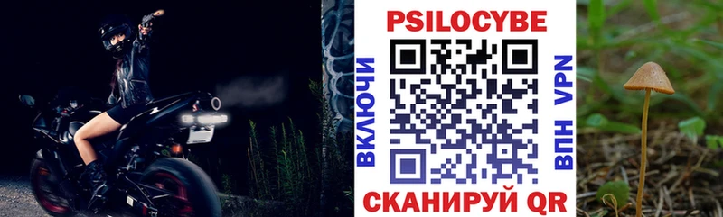 Галлюциногенные грибы Psilocybine cubensis  Купить где  Слюдянка 